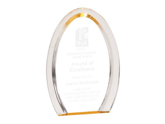 Acrylic award 3