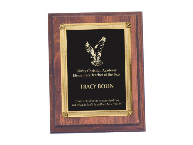 Plaque 1