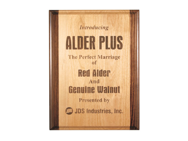 Plaque 2